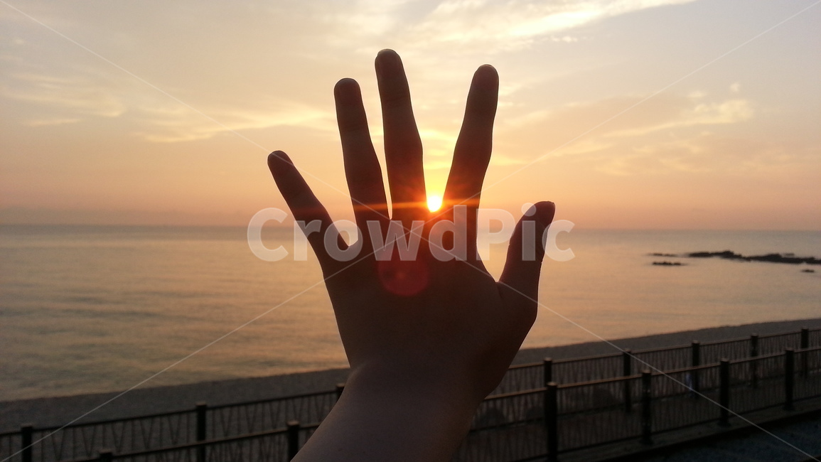 노을,바다,손,밤,해,자연,sunset