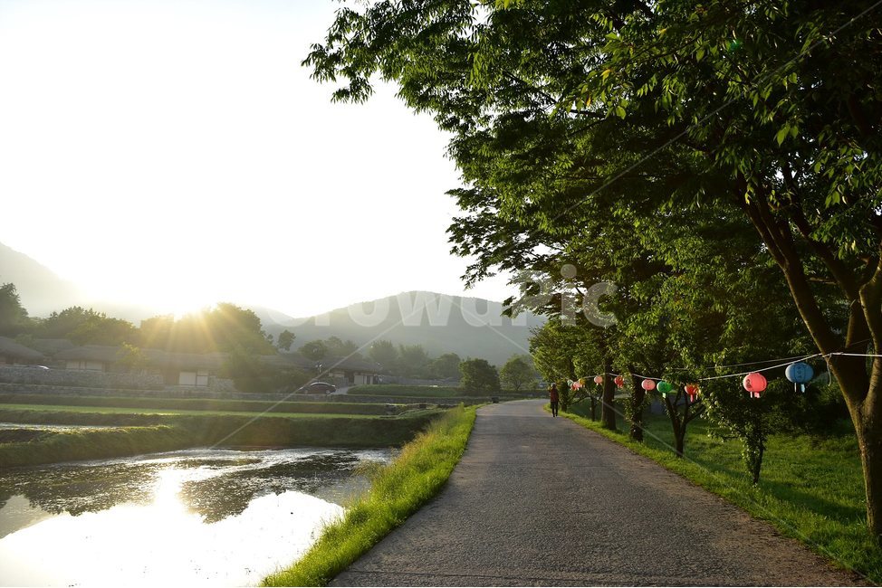 외암,민속,마을,풍경,힐링,논,햇살,landscape,자연,풍경,nature,landscape,light,빛,flare,플레어,outdoors,옥외,water,물