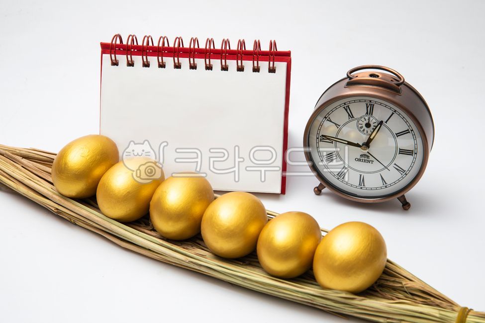 yellow egg,egg,wealthy,time is money,notepad,memo,hope,rich dream,background paper,record do,memopad,wish,jackpot,time is gold,annual event table,record,property,drawp,savings,text,event table,write,plan,rice sheaf,newyeargoldenyear,golden rich,getrich,in