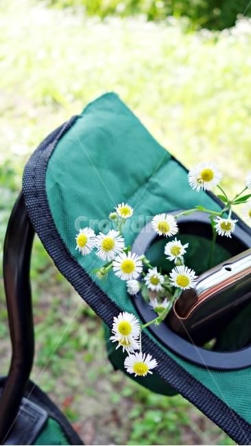 들꽃,잔디,개망초,자연,의자,식물,자연,plants,nature,꽃,flower
