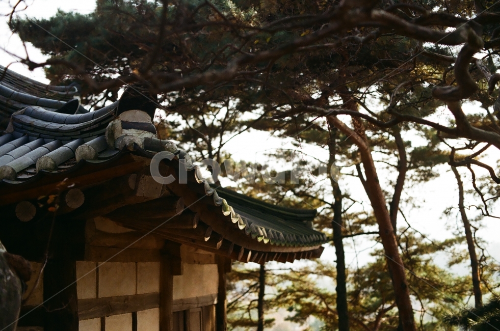 가을,담양,소쇄원,식영정,풍경사진,landscape,출사,가을풍경,단풍,은행,감성,쓸쓸함,필름사진,필름,한국전통,한국문화,korean traditional,korean culture,건축물,건물외관,exterior,building,structure,architecture,construction