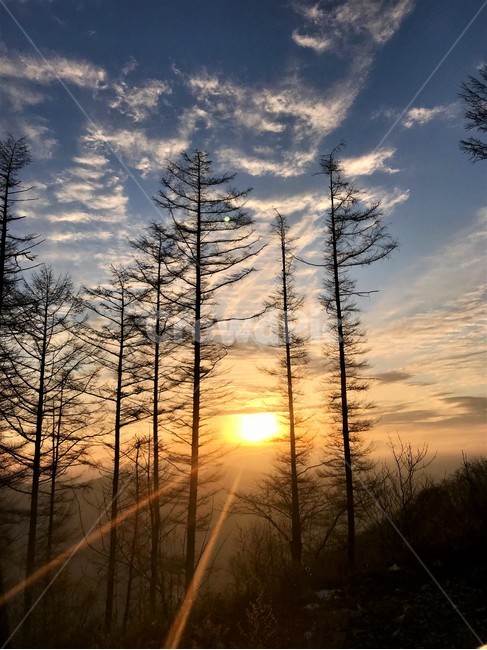 일출,해,하늘,구름,나무,산,자연,뭉게구름,푸른하늘,자연,풍경,nature,landscape,flare,플레어,light,빛,sunlight,햇빛,sunset,일몰,red sky,붉은 하늘,sky,dusk,황혼,dawn,새벽,outdoors,옥외
