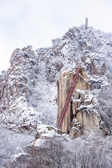 설경,대둔산설경,풍경,풍경사진,삼선대,자연,풍경,nature,landscape,겨울,계절,winter,season,outdoors,옥외,mountain,산,snow,눈