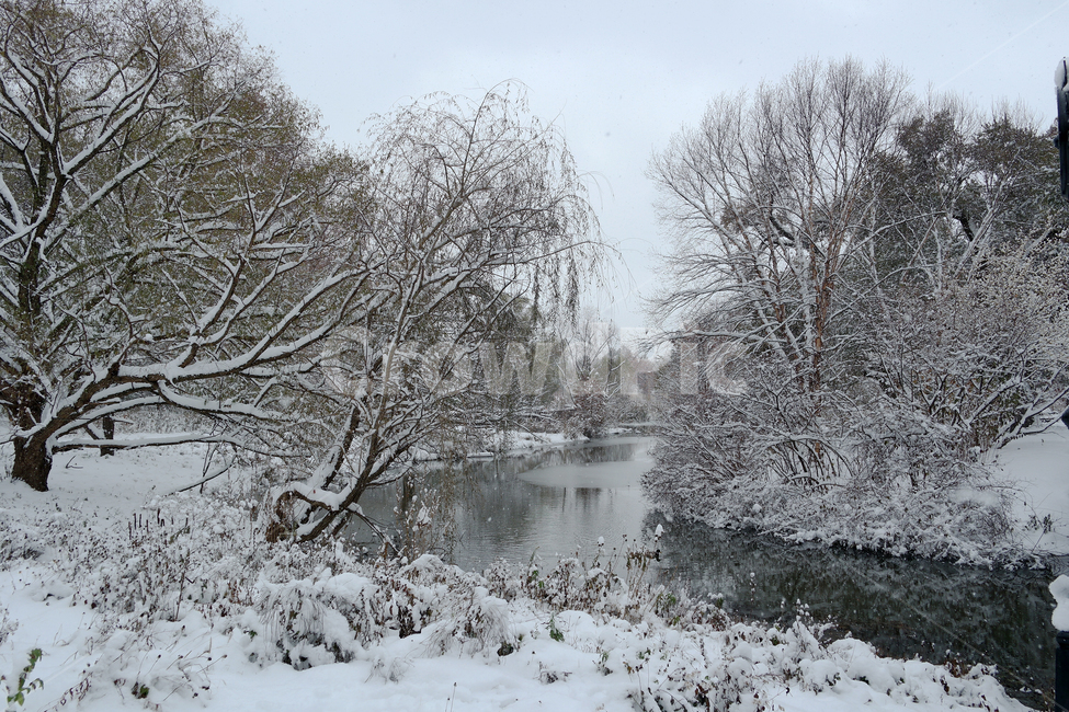 눈,겨울,풍경,시냇물,공원,숲,겨울숲,고요,적막,힐링,차가운공기,겨울,계절,winter,season
