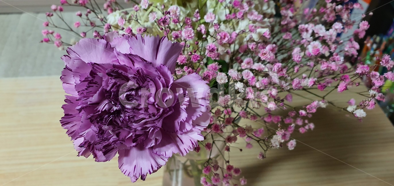 꽃다발,축하,생명,컬러,nature,hydrangea,birthday,colorful,background,decoration,day,florist,beautiful,arrangement,fresh,purple,festive,mix,wedding,decor,composition,top,botanic,holiday,concept,pink,present,bunch,plant,식물,blossom,flower,꽃