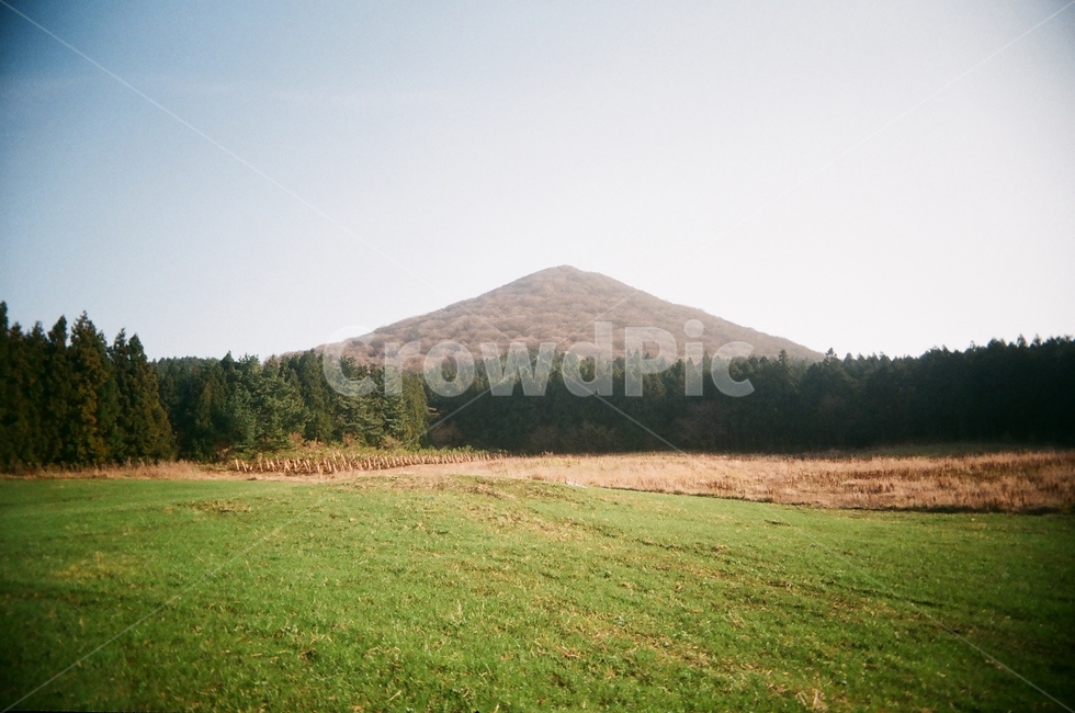 제주도,필름사진,산,오름,궷물오름,들판,나무,광야,풍경,자연,풍경,nature,landscape,제주도,jeju,jeju island,outdoors,옥외,grassland,목초지,field,들