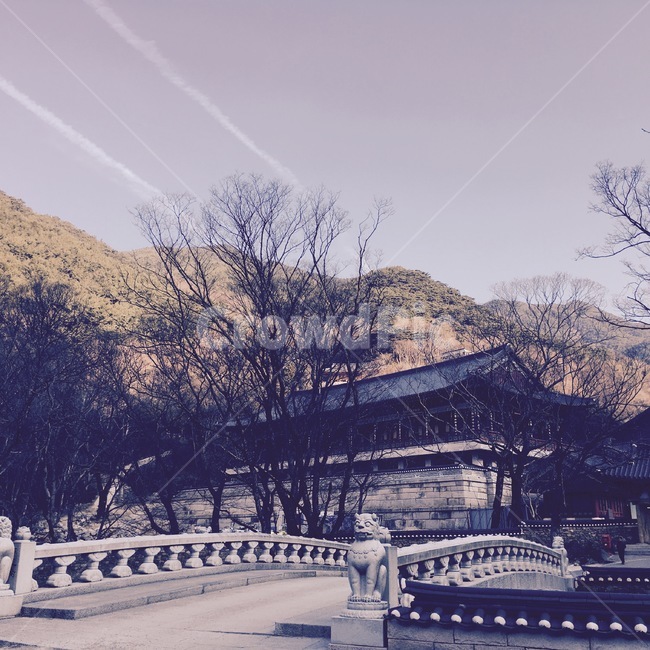 절,한국,비행운,자연,풍경,korea,nature,landscape,temple,tradition,한국전통,한국문화,korean traditional,korean culture,종교,신앙,religion,belief,faith,건축물,건물외관,exterior,building,structure,architecture,construction