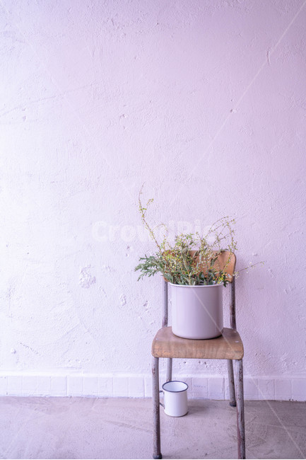 화분,의자,꽃병,컵,감성,실내용화초,화분,화초,house plant,감성,sensible,feeling,인테리어,실내디자인,interior design