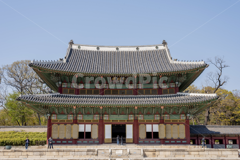 창덕궁,궁궐,고궁,전통,인정전,한옥,전통건물,서울풍경,기와담장,문화유산,기와지붕,한국의미,architecture,건축물,building,건물,랜드마크,landmark,tourist attraction,한국랜드마크,한국관광지,한국명소,korea landmark,korea tourist attraction