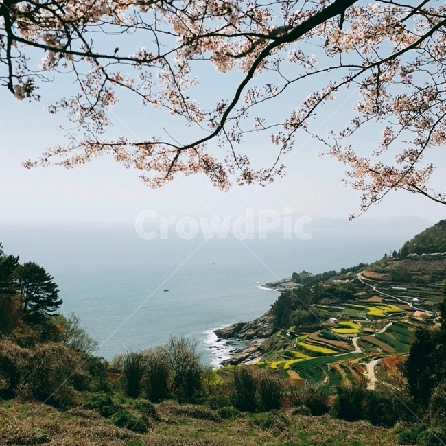 바다,바다뷰,한국바다,oceanview,koreanocean