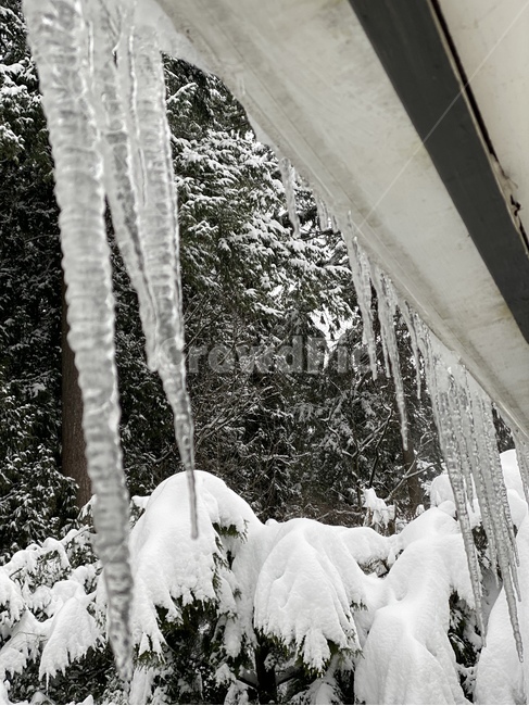 nature,자연,outdoors,ice,snow,빙,눈,winter,겨울,고드름,icicle,icicles,캐나다,canada,처마밑,감성,추운날,영하,추운겨울