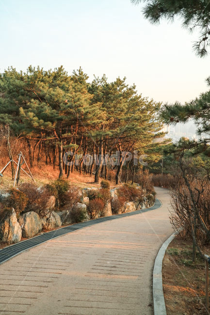 공원,길,산책로,가을,계절,나무,바위,조경,커브,산책,풍경,가을,계절,fall,autumn,season,자연,풍경,nature,landscape,tree,plant,식물,boardwalk,building,건물,bridge,다리