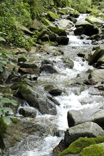 계곡,물,자연,nature,outdoors