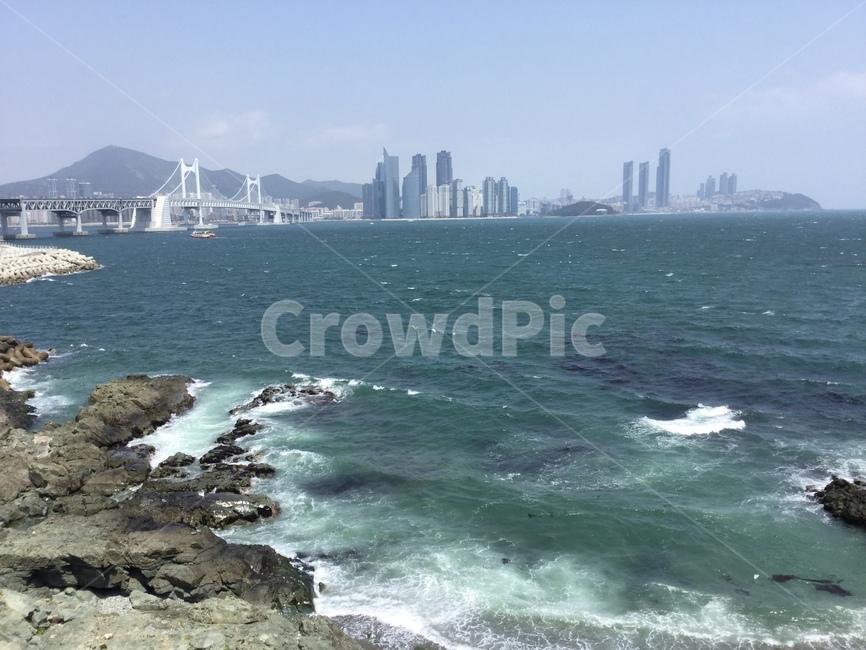 부산,여름,바다,상쾌,광안대교