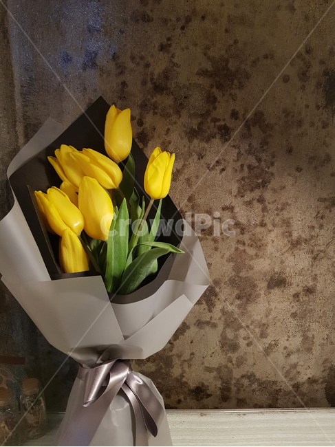 꽃,튤립,식물,꽃다발,플라워,봄,계절,spring,season,식물,자연,plants,nature,꽃,flower,기념일,축하,anniversary,congratulation,celebrate,celebration,plant,blossom,flower arrangement,꽃꽂이,flower bouquet,꽃 부케