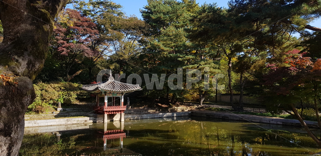 궁궐,전통,한옥,가을,낙엽,traditional,한국,korea,korean,연못