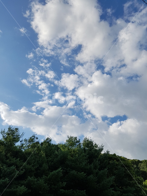 하늘,구름,sky,파란색,cloud,skyblue