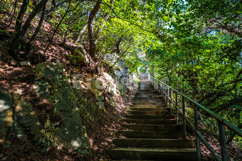 빛,길,계단,나무,초록,풀,숲,환경,자연,감성사진,산책,산책길,자연,풍경,nature,landscape,handrail,난간,banister