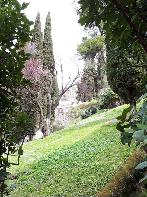 이탈리아,유럽,티볼리,빌라데스테,풍경,자연,나무,풀,하늘,빛,이태리,서유럽,자연,풍경,nature,landscape,tree,plant,식물