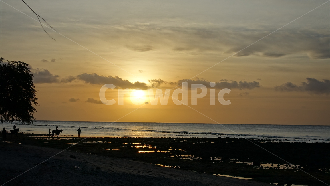 석양,dusk,하늘,노을,sunset,바다,sea,ocean,골드,gold,해변,승마,황금빛,sky