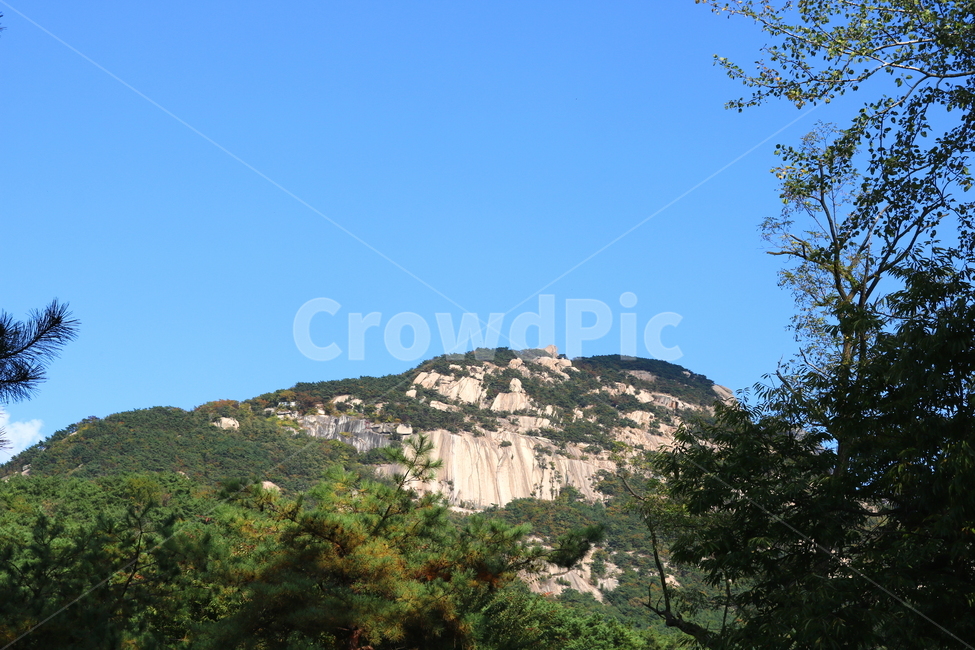 북한산,산,자연,풍경,나무,공원,국립공원,산책로,등산로,원효봉,북한산국립공원,하늘,맑은하늘,식물,자연,풍경,nature,landscape