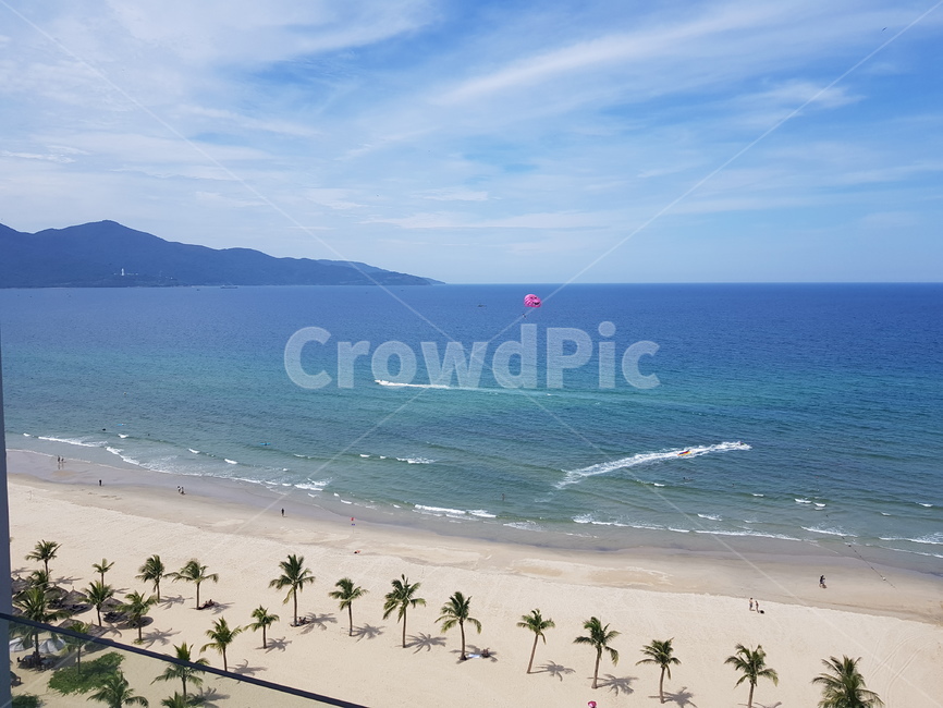 베트남,다낭,미케,비치,해변,바다,풍경,여름,danang,vietnam,mykhe,beach,seaview,summer,oceanview,야자수,palm,tree,blue,자연,풍경,nature,landscape,해변,바다,beach,sea,outdoors,옥외,ocean,대양,water,물,shoreline,해안선