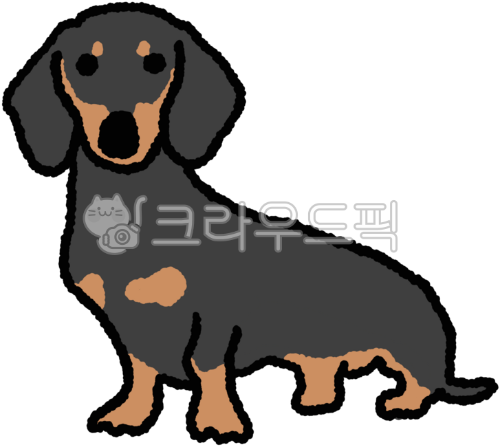 닥스훈트,개,강아지,반려동물,반려견