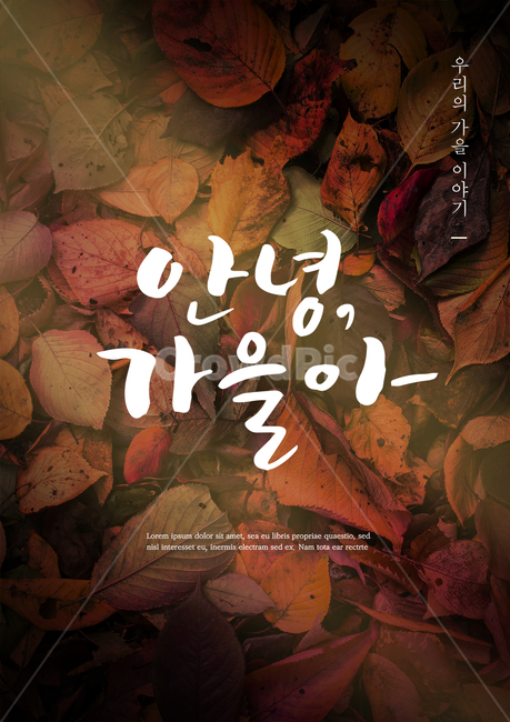 낙엽,단풍잎,가을,감성,캘리,캘리그라피,손글씨,붓글씨,표지,브로슈어,전단지,카달로그,가을,계절,fall,autumn,season,캘리그라피,손글씨,calligraphy