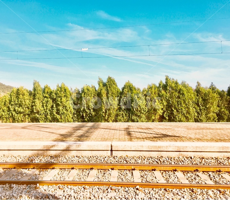 기찻길,railroad,기차역,station,하늘,sky,풍경,경치,나무,tree,구름,cloud,train,trainroad,trainstation,맑음,clear,sunny,감성,sensible,feeling,색깔,색상,색채,색감,color sense,color sensitivity,feeling of color,교통,교통수단,traffic,transportation,rail,레일,train track,railway,철도