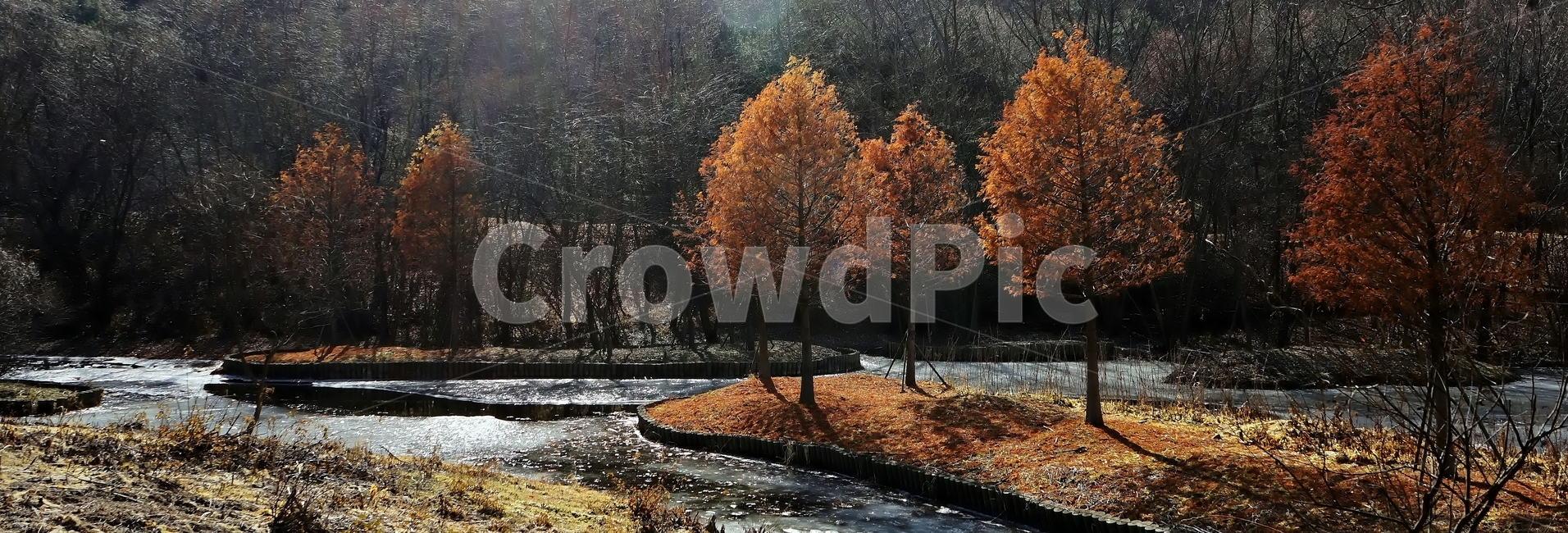 겨울,공원,나무,빛,그림자,얼음,추위,winter,park,season,cold,감성,난지천공원,마포,trees,woods,branch,leafless,가을,계절,fall,autumn,season,자연,풍경,nature,landscape,tree,plant,식물
