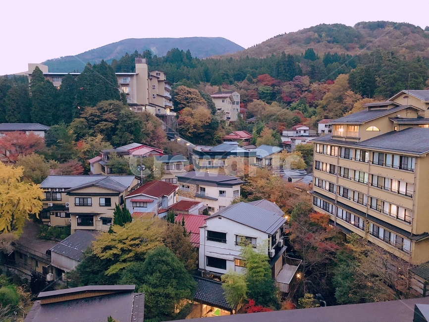 마을,소도시,가옥,건물,자연,일본