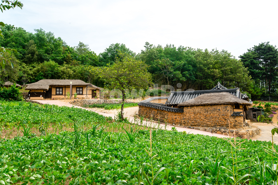 강원도,고성,왕곡마을,민속마을,전통,한옥,초가집,한국전통,한국문화,korean traditional,korean culture,건축물,건물외관,exterior,building,structure,architecture,construction