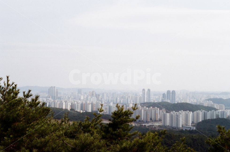 겨울,산,등산,감성,필름,경관,경치