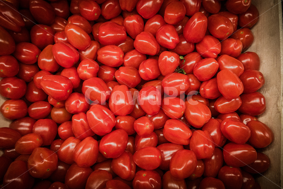 토마토,유럽토마토,프랑스토마토,붉은토마토,외국토마토,빨간토마토,빨간색,빨강색,빨간,빨강,멋쟁이토마토,토마토마,토마토쥬스,토마토주스,음식,식재료,요리,food,cook,meal,dishes,food reserves,과일,열매,fruit