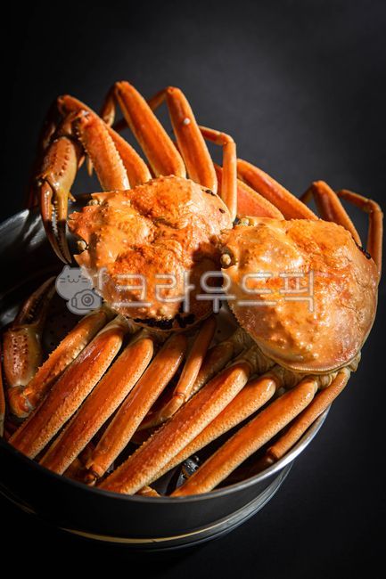 seafood,Snow crab dish,Steamed snow crab,snow crab,Snow crab sauce,Russian snow crab,Snow crab meat,red crab