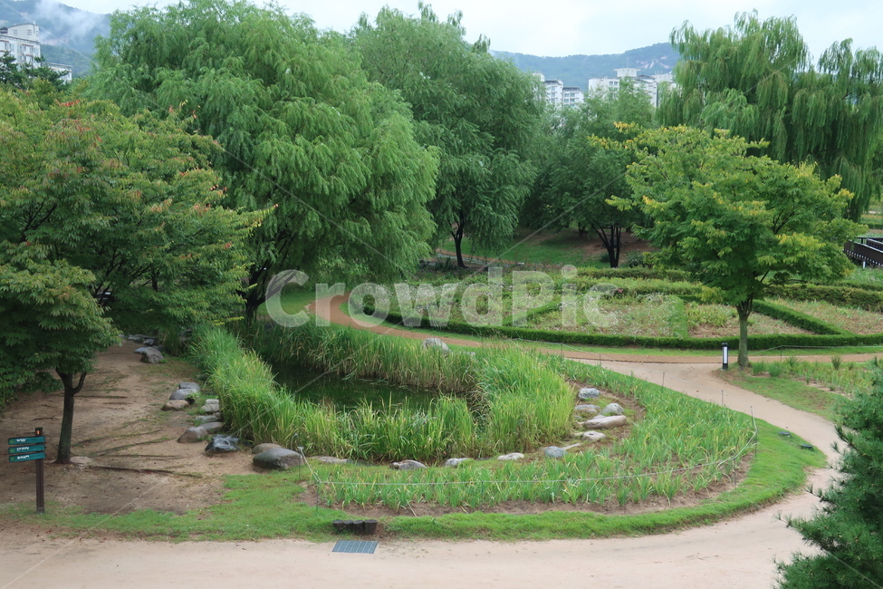 서울,창포원,식물원,도시,공원,습지,조성,숲,산책,산책로,자연,풍경,nature,landscape,plant,식물,grass,잔디,outdoors,옥외