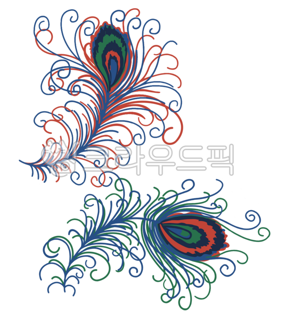 깃털,라인깃털,새,조류,공작깃털