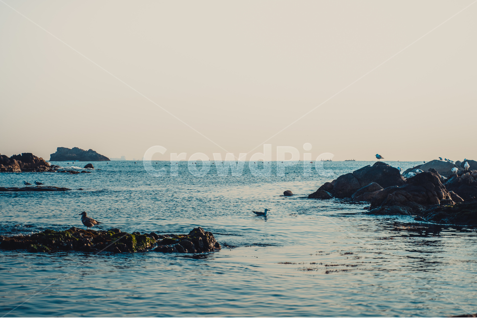 water,물,어촌,일출,여명,어촌풍경,바다,sea,sunrise,sun,sky,ocean,파도,wave,갈매기