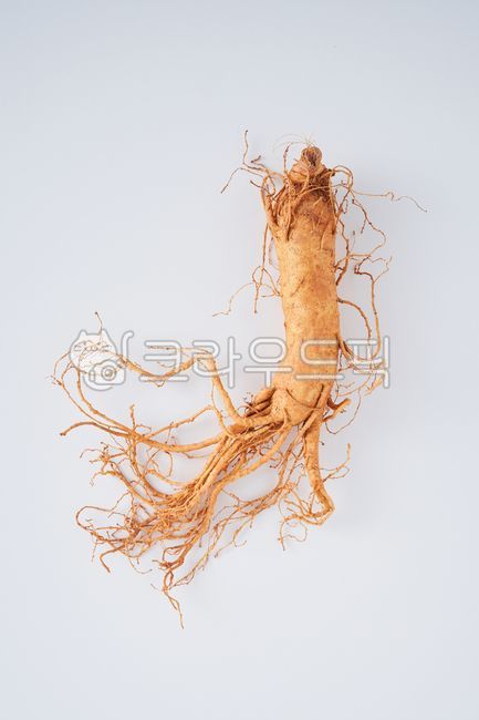 Hanppuri,Ginseng 6 years old,5 year old ginseng root,root,Fresh ginseng,Geumsan Ginseng,Ginseng