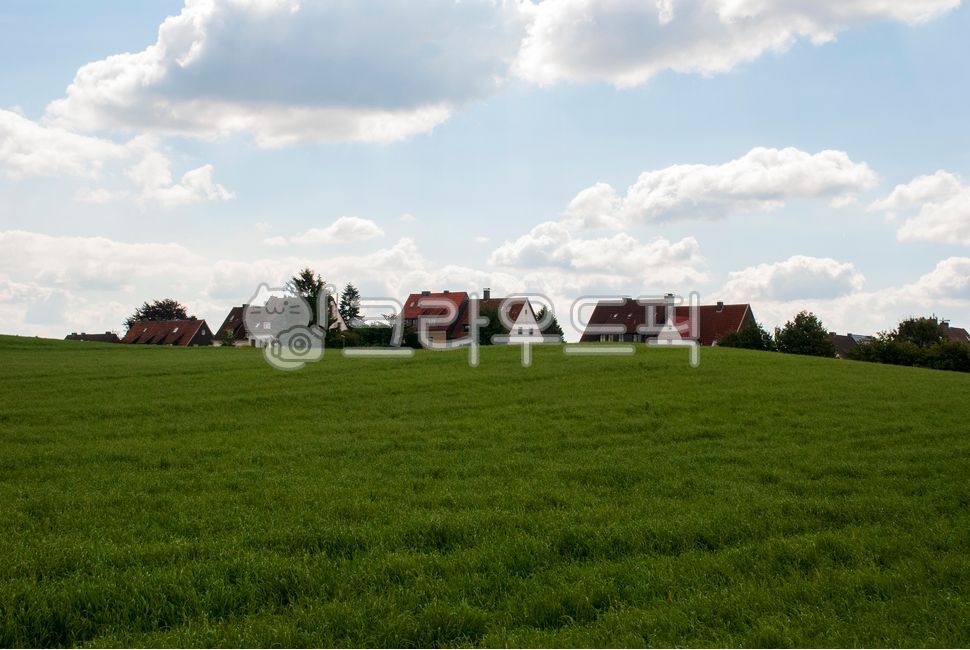 small village,whitecolor,house,cloud,Field,white,Town,clear weather,smalltown,weather,sight,sunny,village,sunnyweather,sky,greenfield,green,greenness,white clouds,green fields,whitecloud,White,field,plant,landscape,Sunny