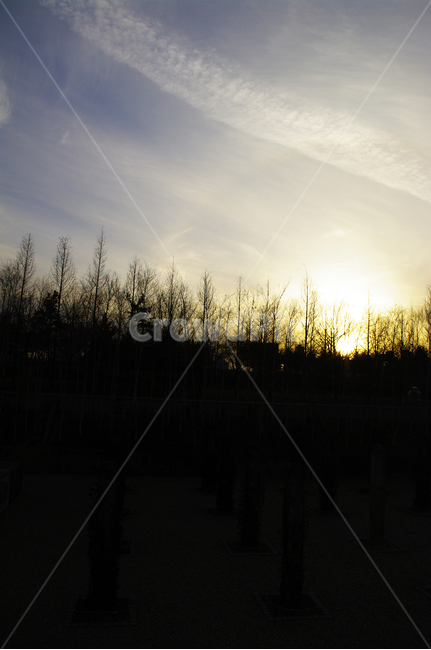 노을,일몰,sunset,하늘,구름,풍경,나무,식물,plant,자연,풍경,nature,landscape,outdoors,옥외,light,빛,flare,플레어,sunlight,햇빛