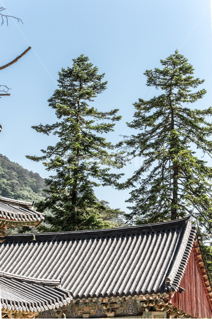 기와,선,패턴,사찰,문화유산,전통,한국전통,한국문화,korean traditional,korean culture,건축물,건물외관,exterior,building,structure,architecture,construction
