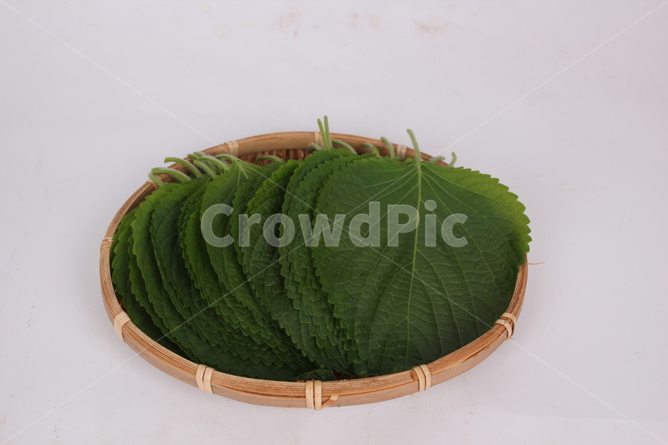 채소,깻잎,쌈채소,야채,요리