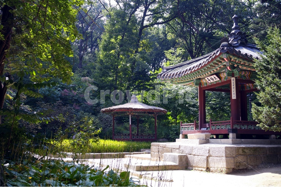 창덕궁,창덕궁후원,전통가옥,풍경,궁궐,한국전통,한국문화,korean traditional,korean culture,랜드마크,landmark,tourist attraction,한국랜드마크,한국관광지,한국명소,korea landmark,korea tourist attraction