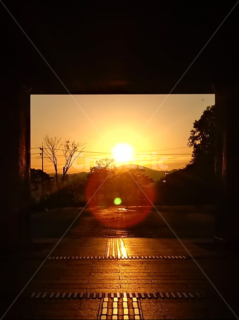 자연,하늘,일출,새벽,붉은하늘,nature,해돋이,sunrise,자연,풍경,nature,landscape,flare,플레어,light,빛,sunlight,햇빛,outdoors,옥외