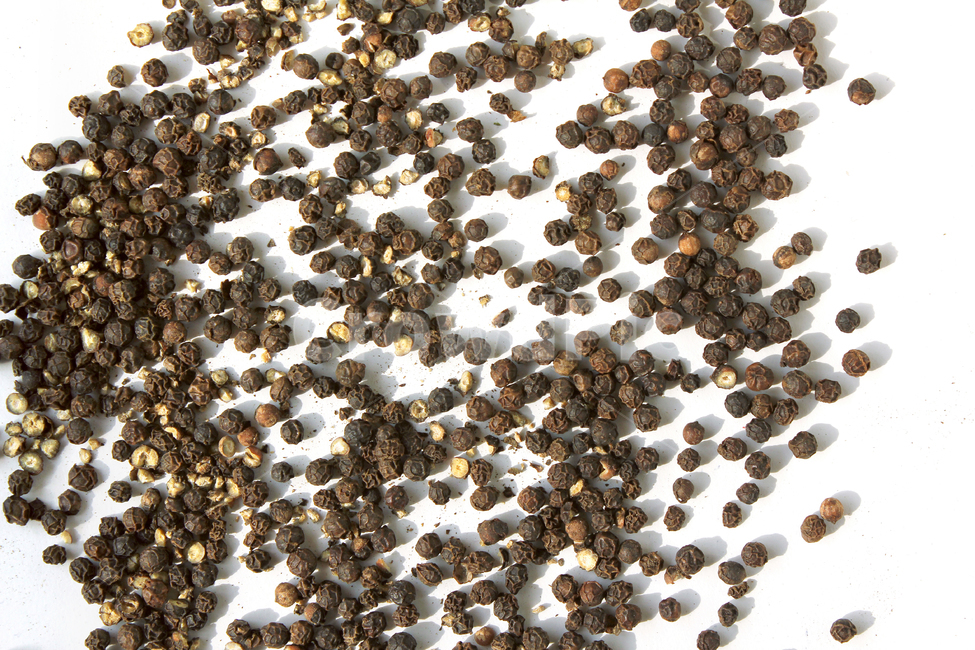 black,brown,cooking,dry,food,glass,gourmet,pepper,peppercorn,seeds,spice,spicy,white,검은색,검정,갈색,브라운,요리,음식재료,음식,후추,후추가루,향신료,매운,식재료,탑앵글,탑뷰,통후추,음식,식재료,요리,food,cook,meal,dishes,food reserves,콩류,견과류,beans,pulse,nuts,dry fruits,누끼,remove background