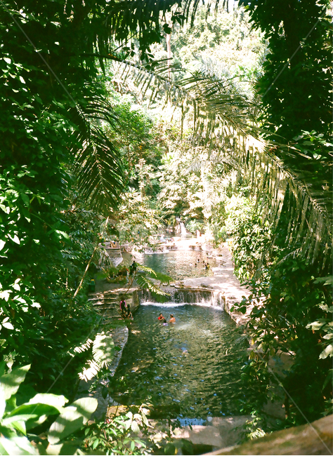 water,nature,자연,초목,식물,계곡