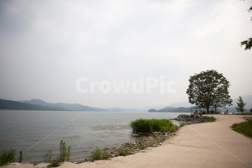 nature,outdoors,양평,두물머리,나무,풀,강,자연,봄,여름,나루터