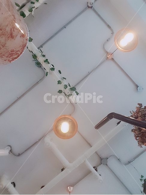 전구,천장,카페,cafe,light