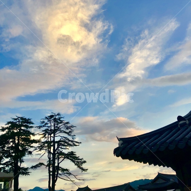 한옥,기와,저녁노을,전통,궁궐,한국,한국문화,korea,풍경,감성사진,노을,소나무,구름,structure,landscape,sky,construction,night,nightview,건축물,건물외관,동양,아시아,지붕,처마,하늘,푸른하늘,고궁,나무,민속,exterior